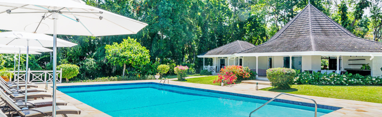 Image of Frangipani